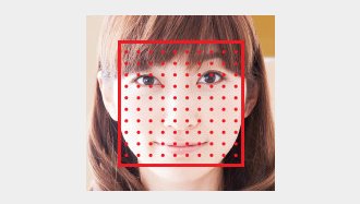 顔認証技術・識別開発